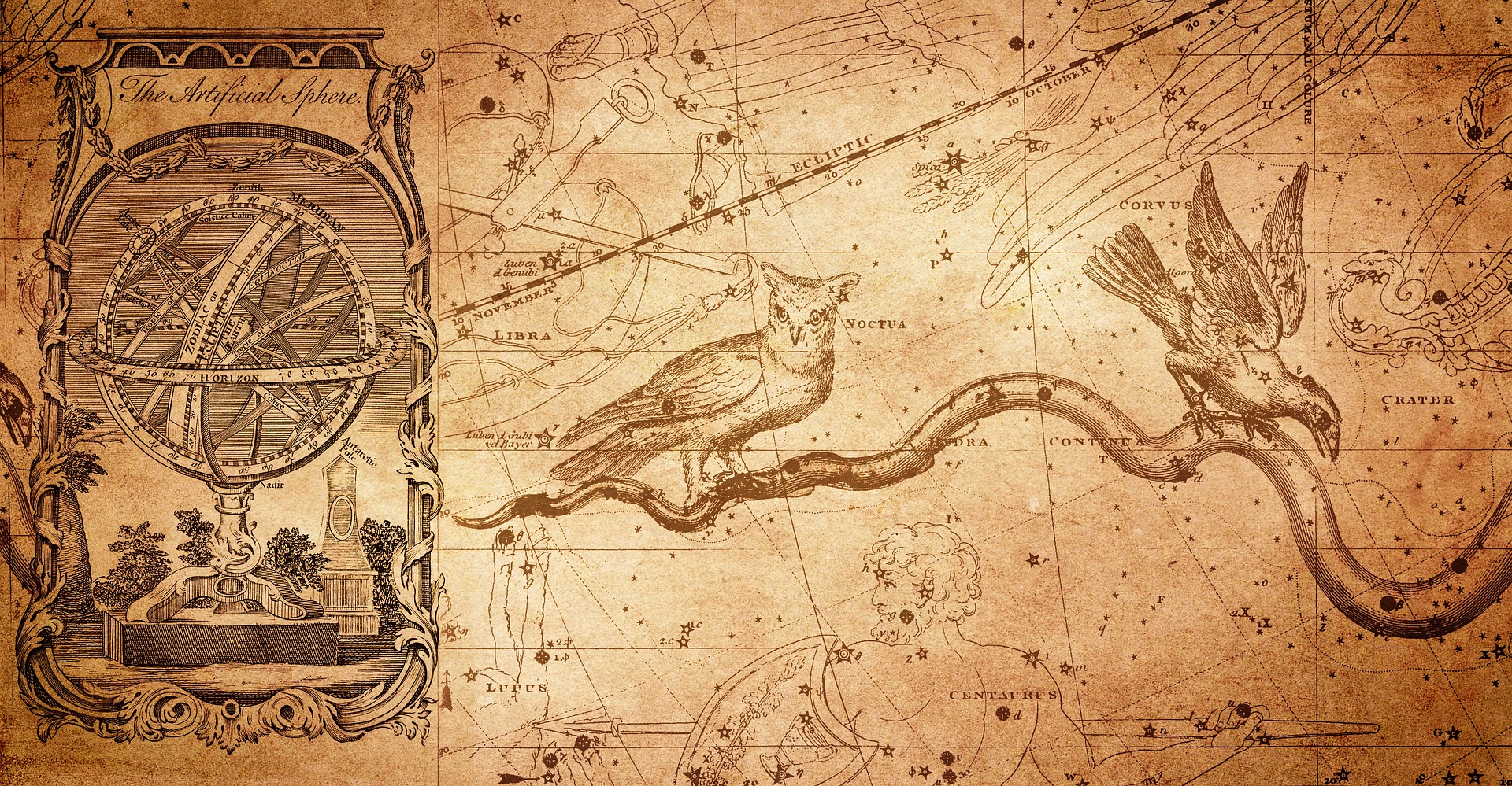 atlas