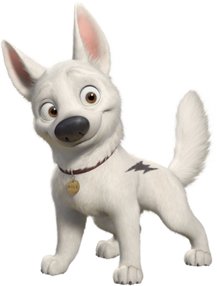 bolt